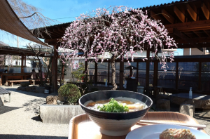 山越うどん